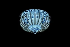 Arrediorg Plafoniera Luce LDP 9897 - 450